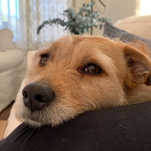 Meet your Posher, Lucas